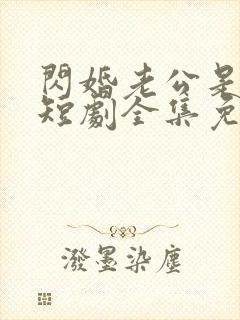 闪婚老公是豪门短剧全集免费版