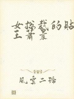 女总裁的贴身兵王萧晨