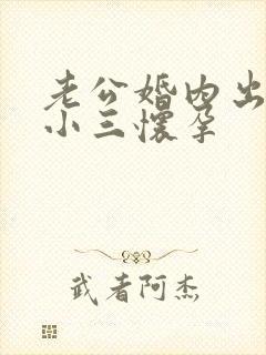 老公婚内出轨至小三怀孕