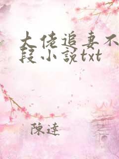 大佬追妻不择手段小说txt