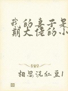 我的妻子是大乘期大佬的小说