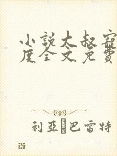 小说大叔宠妻无度全文免费