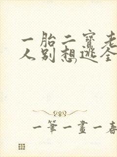 一胎二宝老婆大人别想逃全文免费阅读