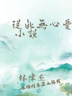 从此无心爱良夜 小说