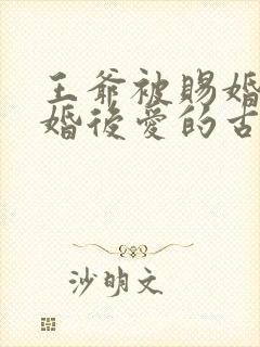 王爷被赐婚的先婚后爱的古言小说