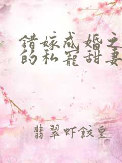 错嫁成婚之总裁的私宠甜妻