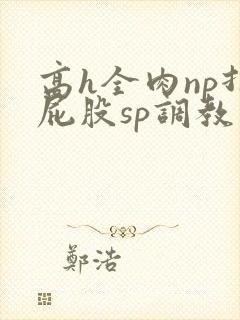 高h全肉np打屁股sp调教