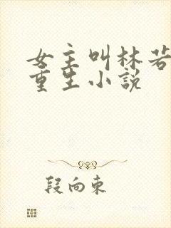 女主叫林若初的重生小说