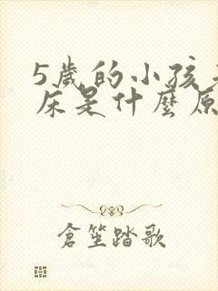 5岁的小孩老尿床是什么原因