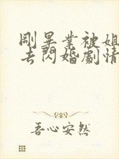 刚毕业被姐姐拉去闪婚剧情