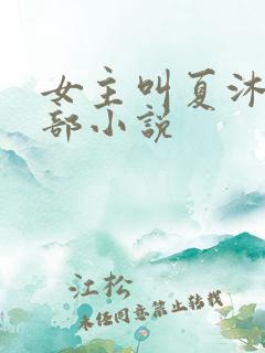 女主叫夏沐的全部小说