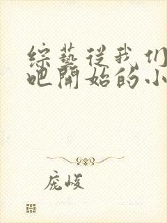 综艺从我们恋爱吧开始的小说