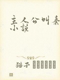 主人公叫秦峰的小说