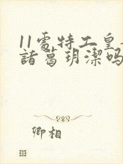 11处特工皇妃诸葛玥洁吗