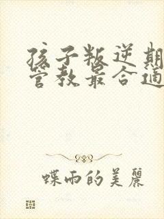 孩子叛逆期怎么管教最合适13岁