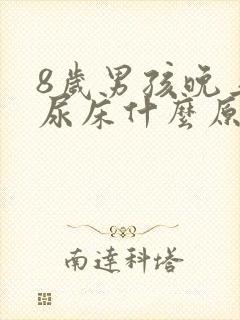 8岁男孩晚上总尿床什么原因