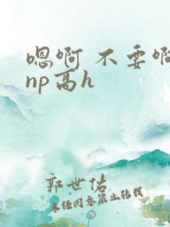 嗯啊 不要啊 np高h