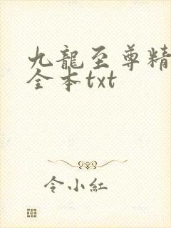 九龙至尊精校版全本txt
