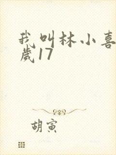 我叫林小喜今年岁17