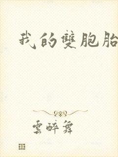 我的双胞胎妹妹