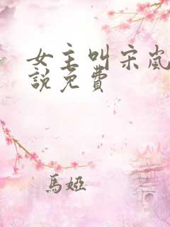 女主叫宋岚的小说免费