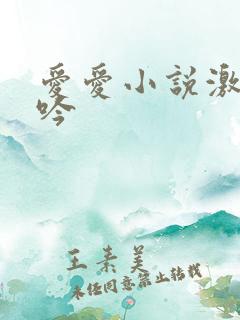 爱爱小说激烈呻吟