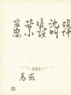 宁若曦沈砚舟黎思小说叫什么名字