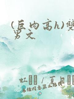 (巨肉高h)双男文