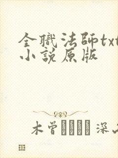 全职法师txt小说原版