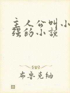 主人公叫小可志强的小说