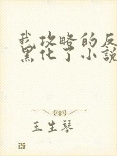 我攻略的反派都黑化了小说完整