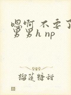 嗯啊 不要了 男男h np