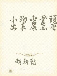 小狗吃骨头拉不出来屎怎么办