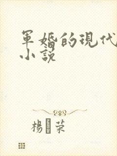 军婚的现代言情小说
