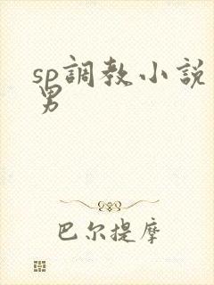 sp调教小说男男