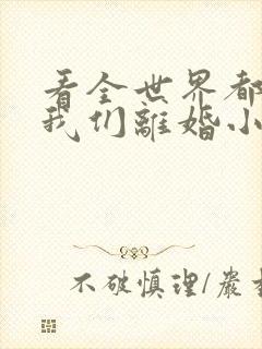 看全世界都盼着我们离婚小说