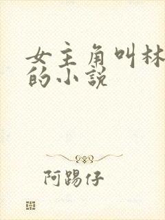 女主角叫林清妍的小说