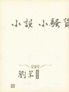 小说 小骚货