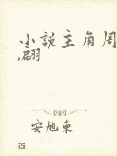 小说主角周轻羽,翩