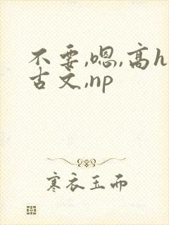 不要,嗯,高h古文,np