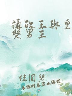 摄政王与皇上的双男主