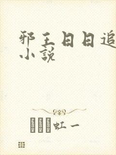 邪王日日追妻忙小说