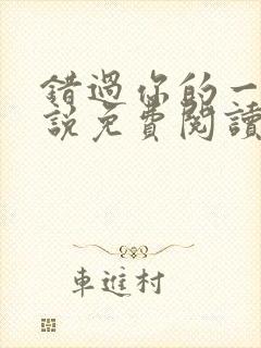 错过你的一切小说免费阅读全文最新章节