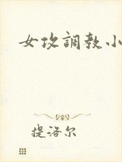 女攻调教小说