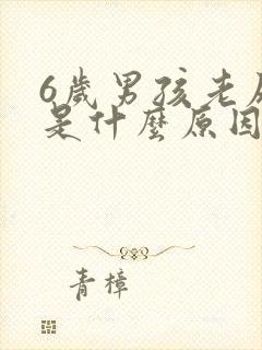 6岁男孩老尿床是什么原因