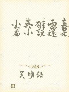 小英雄雨来是长篇小说还是中篇小说