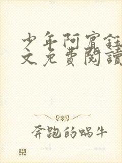 少年阿宾钰慧全文免费阅读