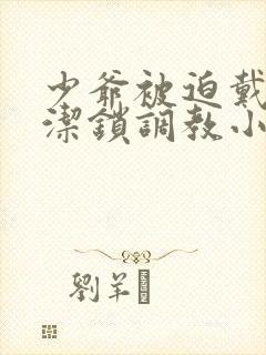 少爷被迫戴上贞洁锁调教小说