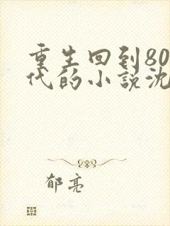 重生回到80年代的小说沈林