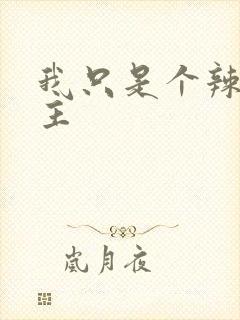 我只是个辣文女主